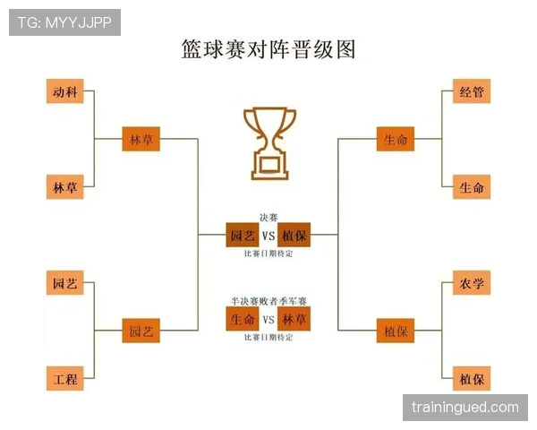 篮球规则:详细解读“同时出界判定”的标准与流程